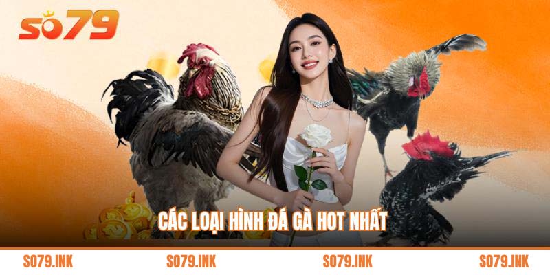Các loại hình đá gà hot nhất