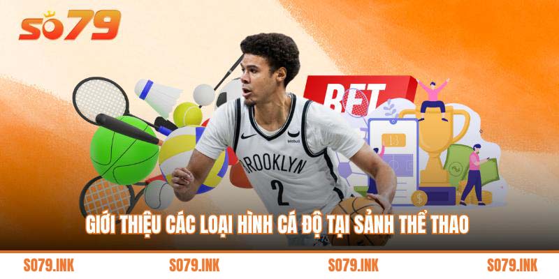 Giới thiệu các loại hình cá độ tại sảnh thể thao