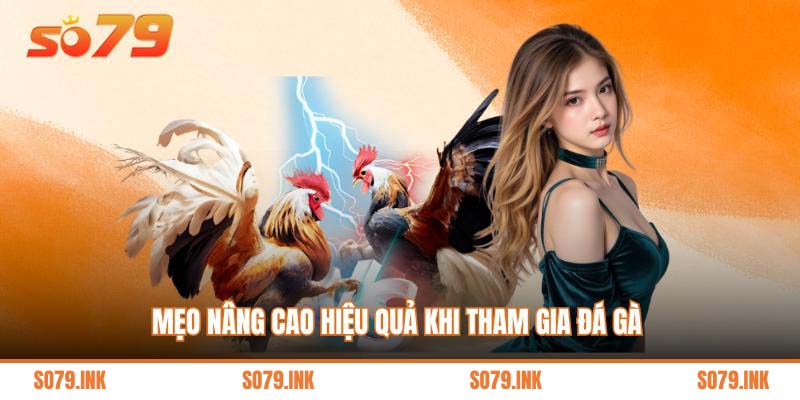 Mẹo nâng cao hiệu quả khi tham gia đá gà